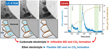 Graphical abstract: The role of an elastic interphase in suppressing gas evolution and promoting uniform electroplating in sodium metal anodes