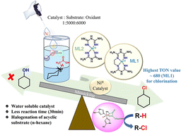 Graphical abstract: C–H bond chlorination and bromination using water soluble nickel(ii) guanidine complexes