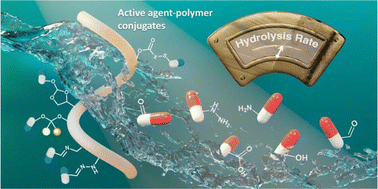 Graphical abstract: Strategies to prepare polymers with cleavable linkages releasing active agents in acidic media