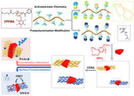 Graphical abstract: A facile and versatile platform for preparing uniform π-conjugated nanofibers with controlled length and varying shells
