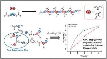 Graphical abstract: Mechanism and modelling of thermally initiated RAFT step-growth polymerization