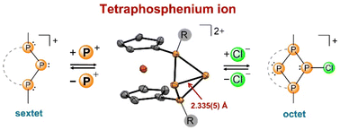 Graphical abstract: P+ addition and transfer involving a tetraphosphenium ion
