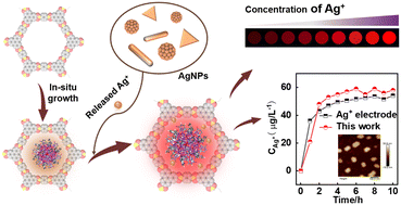 Graphical abstract: Covalent organic framework-encapsulated europium clusters for convenient detection of Ag+ released by nanosilver
