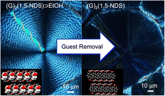 Graphical abstract: Guest removal from ring-banded guanidinium organosulfonate hydrogen-bonded frameworks