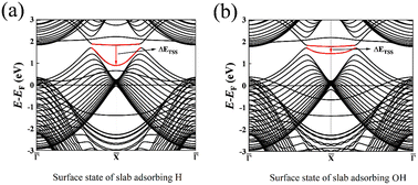 Graphical abstract: Variation of topological surface states of nodal line semimetal MgB2 resulting from adsorption of hydrogen, hydroxide, and water molecules