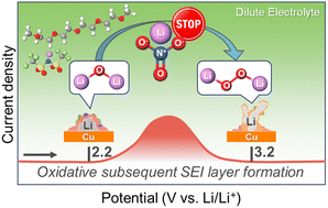 Graphical abstract: Revealing the enhancement of Li plating/stripping efficiency in TEGDME-based low-concentration electrolytes for anode-free lithium metal batteries