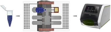 Graphical abstract: A digital microfluidic approach to increasing sample volume and reducing bead numbers in single molecule array assays