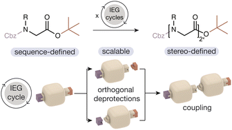 Graphical abstract: Sequence-defined peptoids via iterative exponential growth