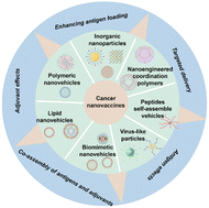Graphical abstract: Nanovehicles for delivery of antigens and adjuvants as cancer nanovaccines