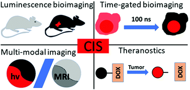 Luminescent Copper Indium Sulfide CIS Quantum Dots For Bioimaging