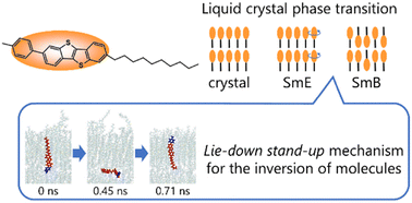 Flip Flop Dynamics In Smectic Liquid Crystal Organic Semiconductors