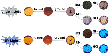 Multi Stimuli Responsive Behavior Of Two Zn Ii Complexes Based On A