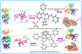 Synthesis Of Zn Ii Coordination Complexes Their Molecular Design And