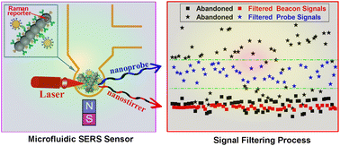 Design Of Raman Reporter Embedded Magnetic Plasmonic Hybrid