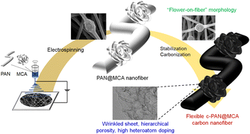 Hydrogen Bonded Organic Framework Derived Flower On Fiber Like Carbon