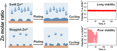 Unraveling The Significance Of The Zinc Ratio In Water In Salt