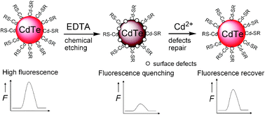 Graphical abstract: A simple chemical etching strategy to generate “ion-imprinted” sites on the surface of quantum dots for selective fluorescence turn-on detecting of metal ions