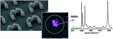 Graphical abstract: SERS mapping of nanoparticle labels in single cells using a microfluidic chip