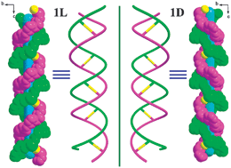 Graphical abstract: Two luminescent enantiomorphic 3D metal–organic frameworks with 3D homochiral double helices