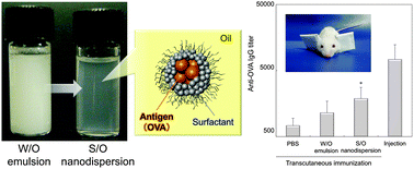 Graphical abstract: Transcutaneous immunization by a solid-in-oil nanodispersion