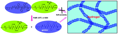 Graphical abstract: Disulfide bond as a cleavable linker for molecular self-assembly and hydrogelation