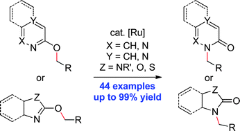 Graphical abstract: Ru-catalyzed activation of sp3 C–O bonds: O- to N-alkyl migratory rearrangement in pyridines and related heterocycles
