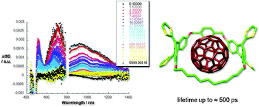 Graphical abstract: Balancing binding strength and charge transfer lifetime in supramolecular associates of fullerenes