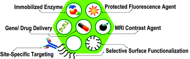 Graphical abstract: Mesoporous silica nanoparticles as nanocarriers