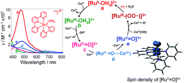 Graphical abstract: Kinetics and DFT studies on water oxidation by Ce4+ catalyzed by [Ru(terpy)(bpy)(OH2)]2+
