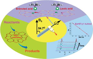 Graphical abstract: In situ solid-state NMR for heterogeneous catalysis: a joint experimental and theoretical approach