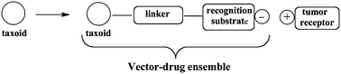 Graphical abstract: Applications of vectorized gold nanoparticles to the diagnosis and therapy of cancer