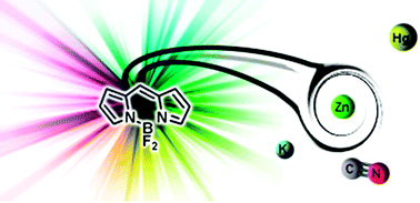 Graphical abstract: Fluorescent indicators based on BODIPY