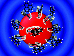 Graphical abstract: Traps and cages for universal SERS detection