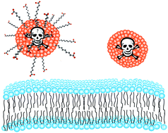 Graphical abstract: Inorganic material coatings and their effect on cytotoxicity