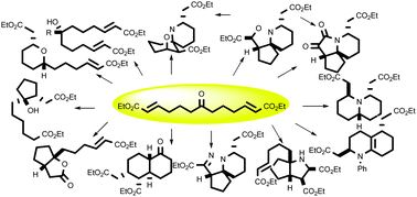 Graphical abstract: Synthesis of natural-product-like scaffolds in unprecedented efficiency via a 12-fold branching pathway
