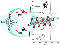 Graphical abstract: Kinetic effects of tartaric acid on the growth of chiral J-aggregates of tetrakis(4-sulfonatophenyl)porphyrin