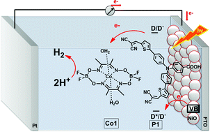 Graphical abstract: Visible light driven hydrogen production from a photo-active cathode based on a molecular catalyst and organic dye-sensitized p-type nanostructured NiO