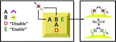 Graphical abstract: Sequential self-assembly for construction of Pt(ii)-bridged [3]rotaxanes on gold nanoparticles