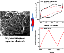 Graphical abstract: Performance of SLS/MWCNTs/PANI capacitor electrodes in a physiological electrolyte and in serum