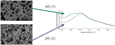Graphical abstract: Regenerated silk fibroin using protic ionic liquids solvents: towards an all-ionic-liquid process for producing silk with tunable properties