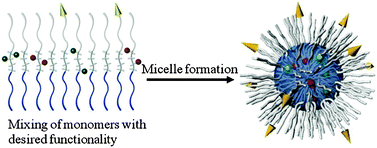 Graphical abstract: Synthesis and characterization of ratiometric nanosensors for pH quantification: a mixed micelle approach