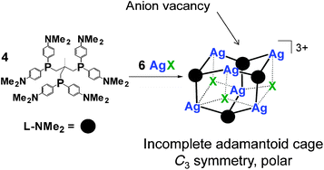 Graphical abstract: Selective formation of a polar incomplete coordination cage induced by remote ligand substituents