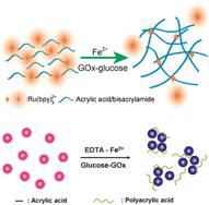 Graphical abstract: H2O2 triggered sol–gel transition used for visual detection of glucose