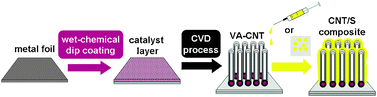 Graphical abstract: High capacity vertical aligned carbon nanotube/sulfur composite cathodes for lithium–sulfur batteries