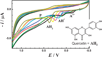 Graphical abstract: The oxidation of natural flavonoid quercetin