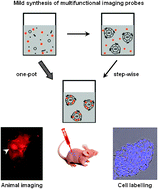 Graphical abstract: Versatile synthetic strategies for PBCA-based hybrid fluorescent microbubbles and their potential theranostic applications to cell labelling and imaging
