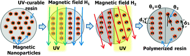 Graphical abstract: Lithographic compartmentalization of emulsion droplet templates for microparticles with multiple nanostructured compartments