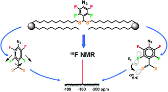 Graphical abstract: Rationalizing the F⋯S interaction discovered within a tetrafluorophenylazido-containing bola-phospholipid