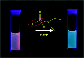 Graphical abstract: Unique emission from norbornene derived terpyridine—a selective chemodosimeter for G-type nerve agent surrogates