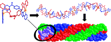 Graphical abstract: A triple helix of double helicates: three hierarchical levels of self-assembly in a single structure